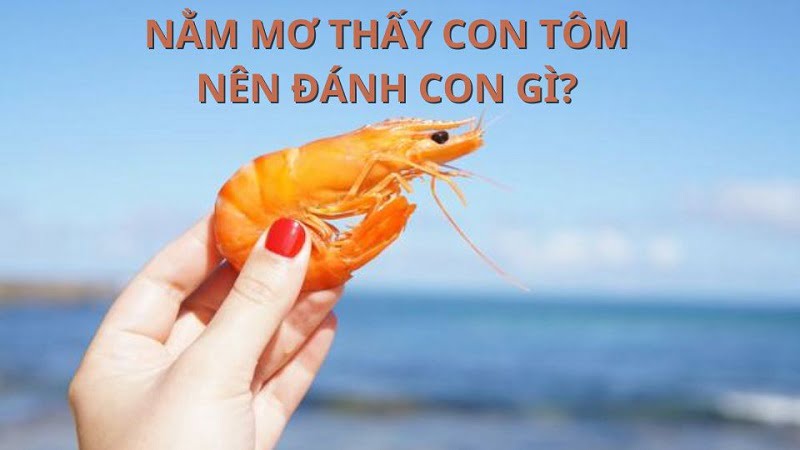 Giải đáp câu hỏi mơ thấy tôm đánh con gì may mắn