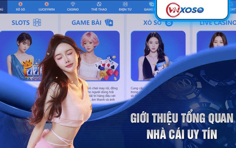 VNXOSO được cấp giấy phép đầy đủ