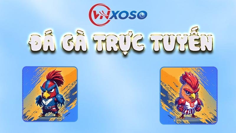 Tìm hiểu về đá gà online